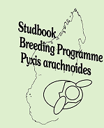 Logo Studbook Breeding Programme Pyxis arachnoides
